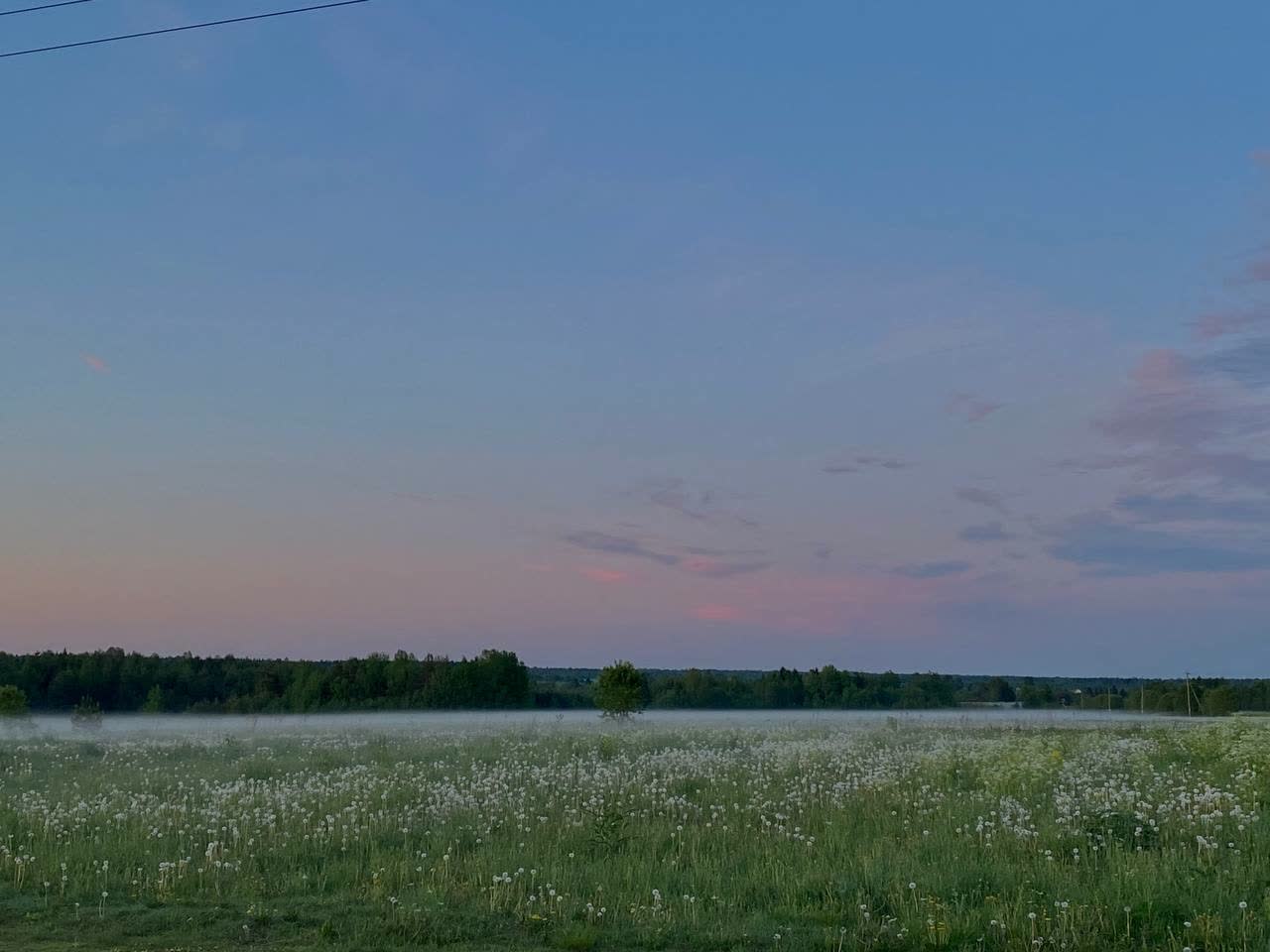 Лето