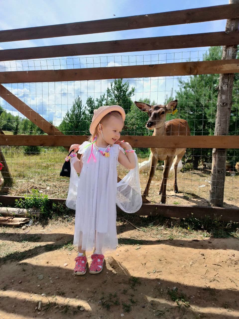 Любимые гости